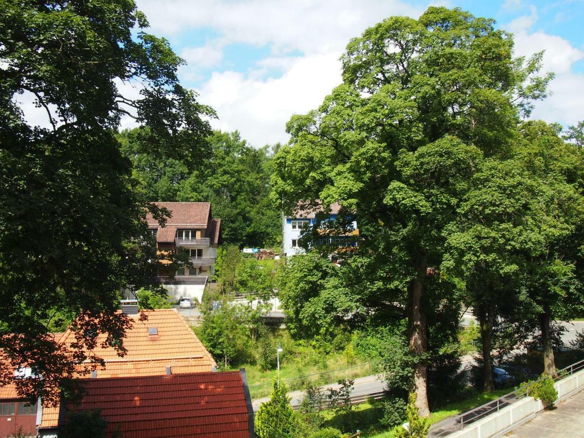 Apartment Harzgrün Sankt Andreasberg Dış mekan fotoğraf