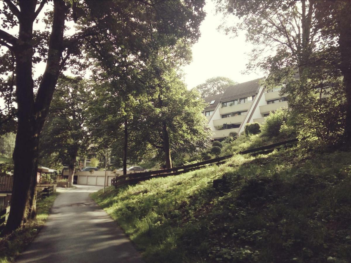 Apartment Harzgrün Sankt Andreasberg Dış mekan fotoğraf